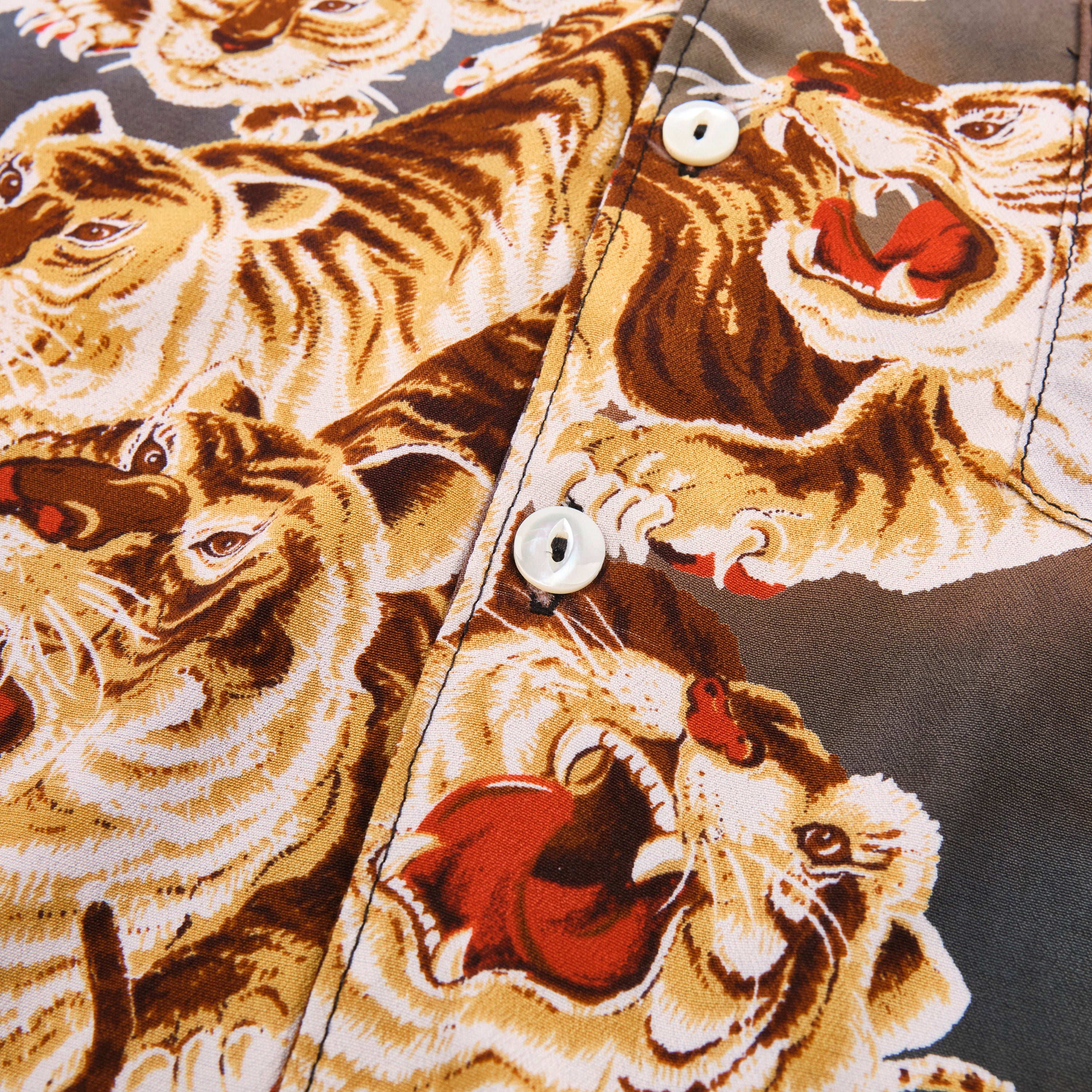 Cayucos Painted Tiger
