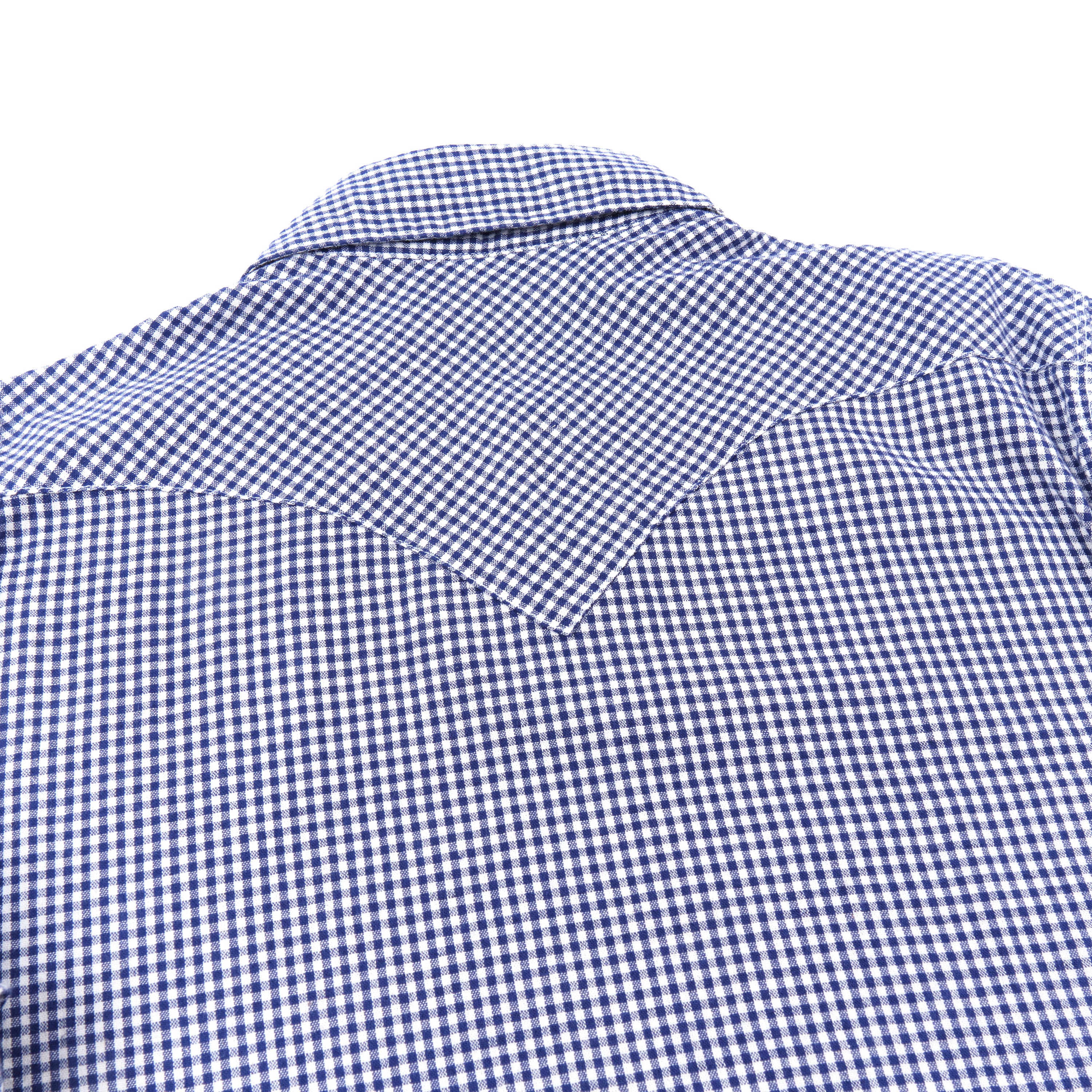 Northfork Blue Gingham