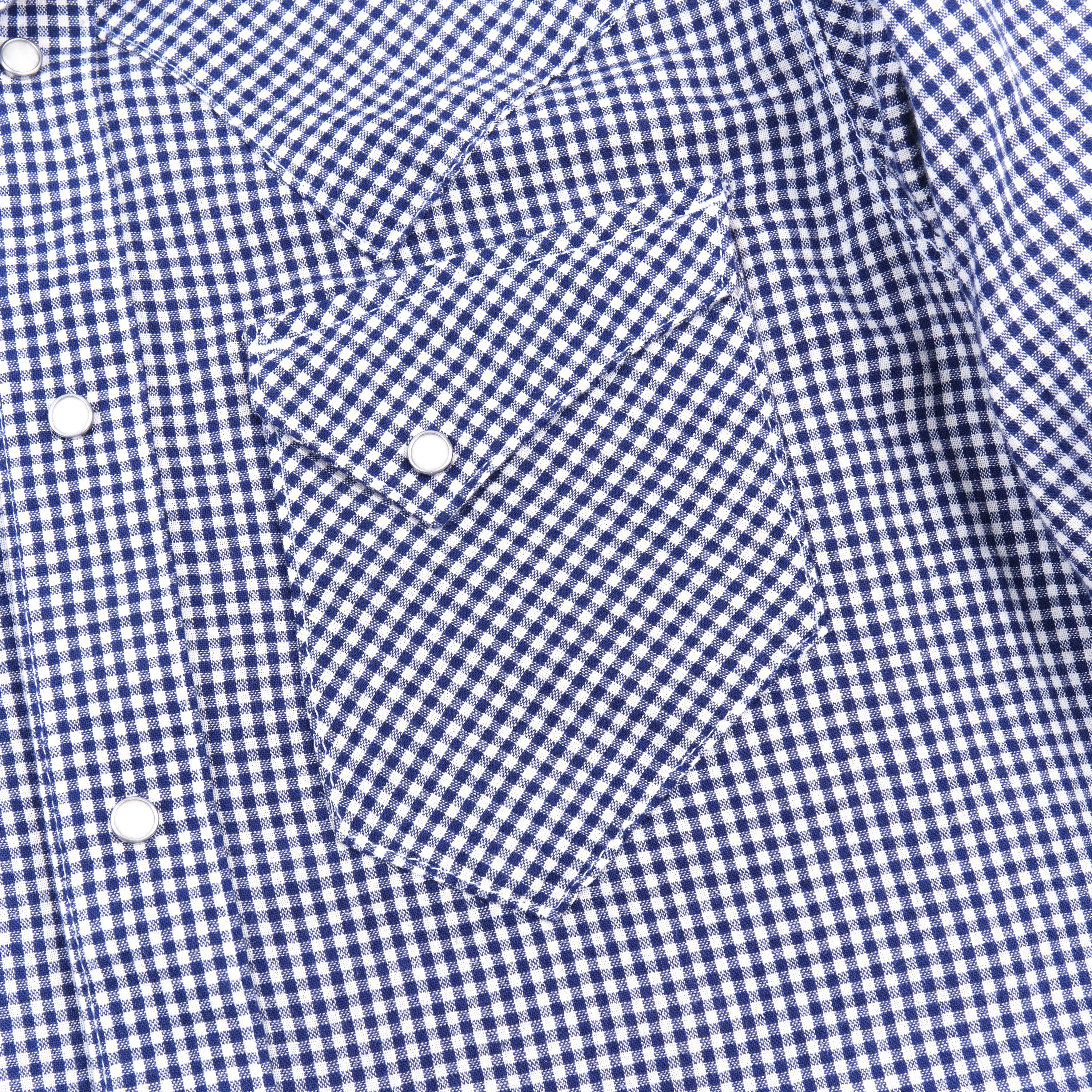 Northfork Blue Gingham