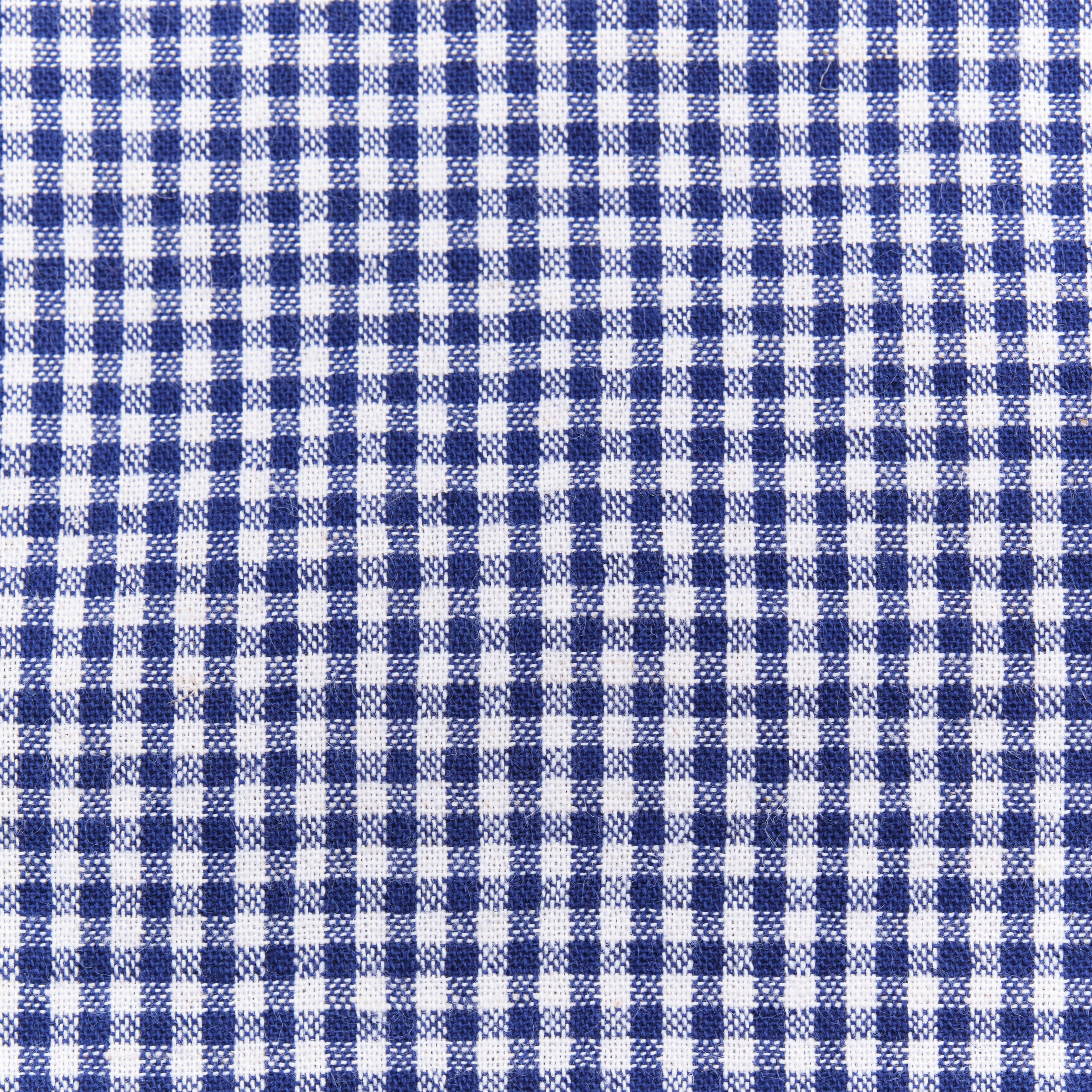 Northfork SS Blue Gingham